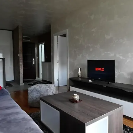 アパート Stan Na Dan Apartman Vidovic