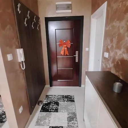 Stan Na Dan Apartman Vidovic ドボイ